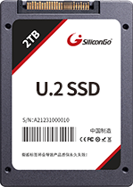 PCIe Gen3x4 U.2 SSD — P-10U Series